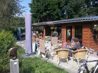 Workshop beeldhouwen in steen