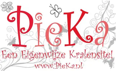 PieKa! 90 grote veterklemmen voor €9,95 incl. verzending!