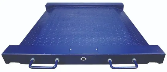 Vloerweegschaal ADAM PTM 500