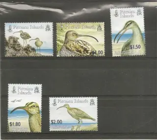 Vogels uit Pitcarn Island