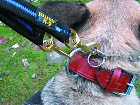 Julius K9 Koppellijn