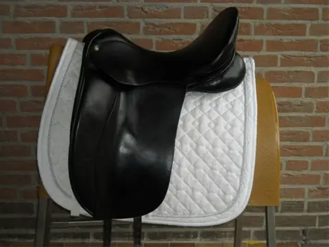 Tk div zadels:hulsebos,fryso,albion,msfc,kn,ainsley,passier