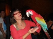 Ervaren docent Engels / oppa