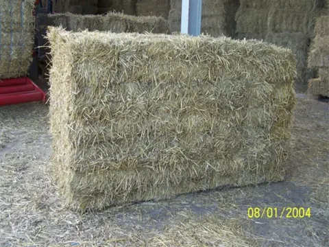 Prachtig tarwestro in bundels voor af land-prijzen