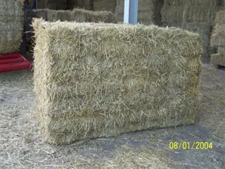 Prachtig tarwestro in bundels voor af land-prijzen