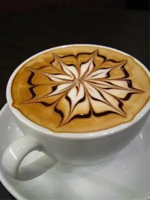 Barista of slow coffee workshop