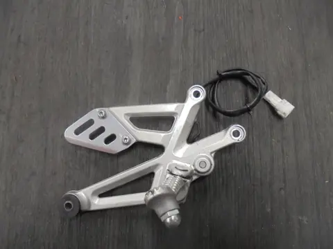 RECHTER SCHETSPLAAT Aprilia Tuono V4 2017 - 2018