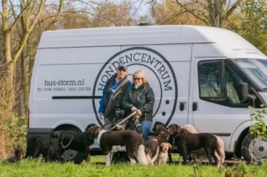Hondenuitlaatservice Storm