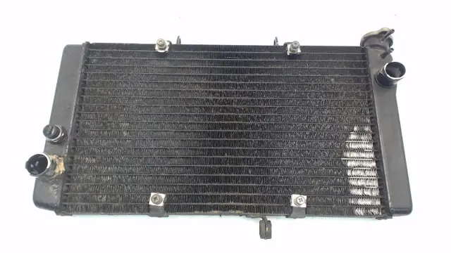 RADIATEUR Honda CBR 1100 XX 1997 - 1998