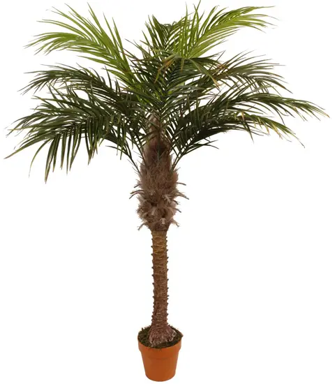 Kunstplanten namaakplanten plastic planten kopen