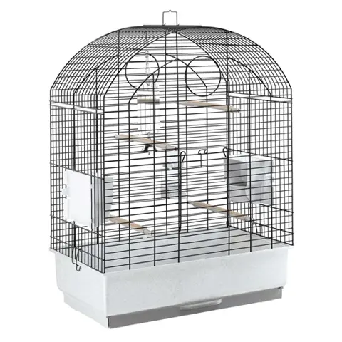Prachtige vogelkooien