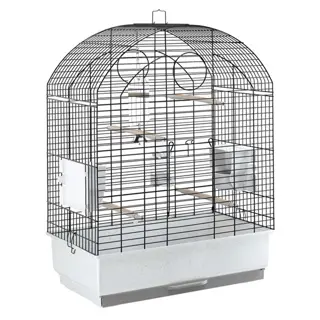 Prachtige vogelkooien