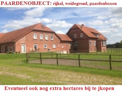 Voor paardenhouders, rijhal, paardenboxen, landerijen