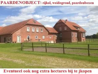 Voor paardenhouders, rijhal, paardenboxen, landerijen