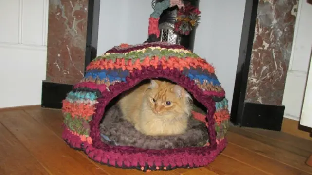 Superleuke gehaakte hutjes voor katten (of kleine hondjes)