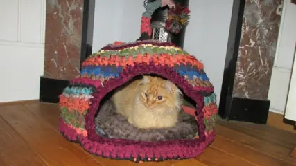 Superleuke gehaakte hutjes voor katten (of kleine hondjes)