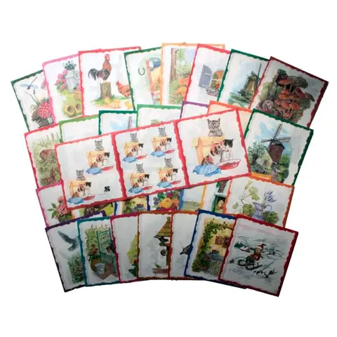 30 Verschillende Decor Vloei - DV-Set