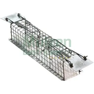 Muizenbestrijding? Bezoek snel onze webshop