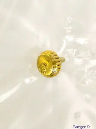 Rolex Crown