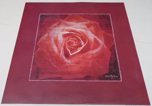 POSTER 50X50 CM BLOEMEN NIEUW