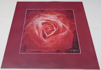 POSTER 50X50 CM BLOEMEN NIEUW