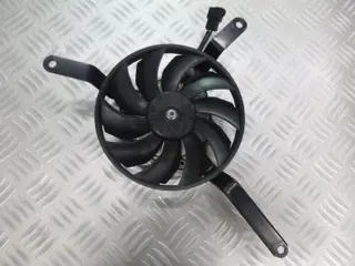 VENTILATOR Triumph Daytona 675 2006 - 2008