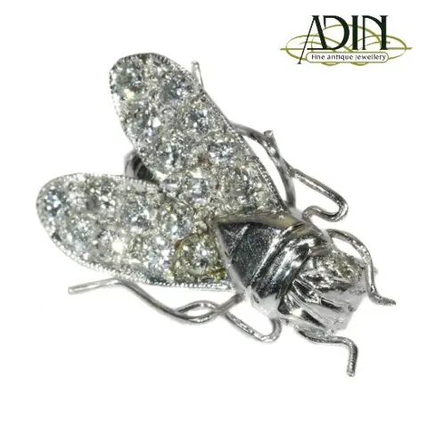 Uw unieke diamanten broche op afbetaling? Dat kan bij Adin!