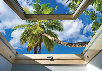 Dakraam fotobehang Palmboom *Fotobehang4you