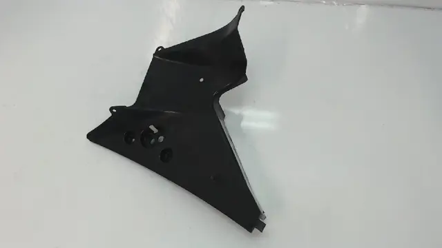 RECHTER ACHTERKANT Honda CBR Fireblade 2000 - 2001