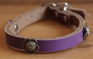 Leren hondenhalsband " Concho bloem " Paars