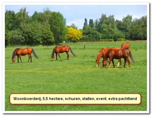GRENSOBJECT. Paardenliefhebbers, 5,5 hectare, stallen