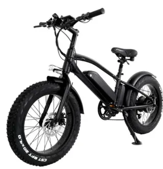 CMACEWHEEL T20 Elect Bike Five Speeds 750W Double Batteries