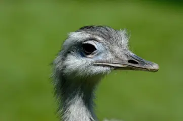 Voel jij je verongelijkt?