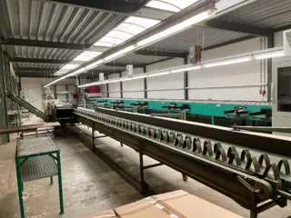 Te huur: verschillende bloemen boslijnen