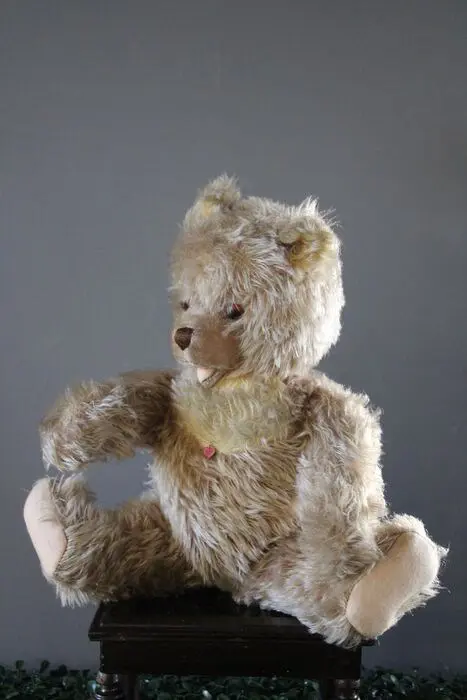 Berg, Oostenrijk - Vintage - Teddybeer Zotty - 1950-1959 -