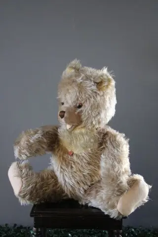 Berg, Oostenrijk - Vintage - Teddybeer Zotty - 1950-1959 -