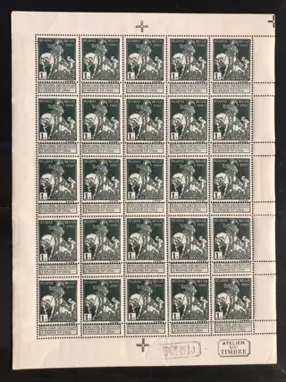 België 1910/1910 - Caritas - 1c Type Lemaire (effen achtergrond) in VOLLEDIG VEL - POSTFRIS - OBP F88