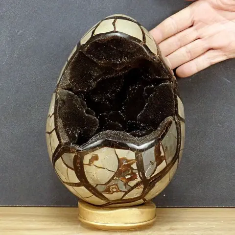 Zeer decoratief Septarian Ei, met A + calcietkristallen -