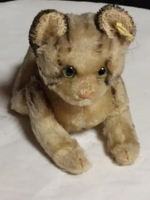 Steiff - Poes - Beer - 1920-1929 - Duitsland