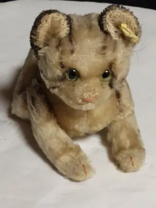 Steiff - Poes - Beer - 1920-1929 - Duitsland