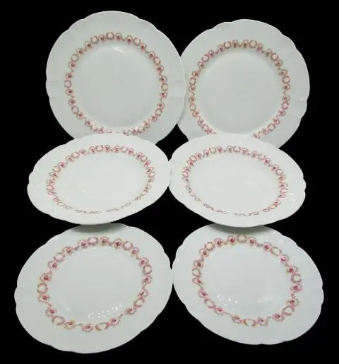 Theodore Haviland France - Dinerborden (6) - Porselein