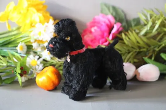 Steiff - EAN 5314s - Snobby de poedel - 1950-1959 -