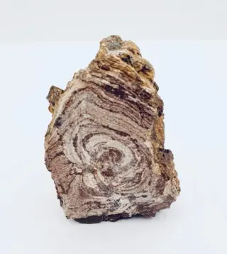 Stromatoliet - Stromatoliet - 6×4.5×4 cm