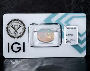 Geen minimumprijs - Opaal - 6.81 ct
