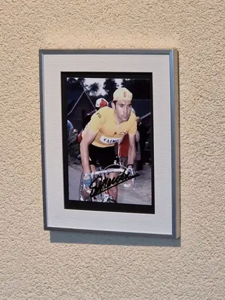Wielrennen - Eddy Merckx - Foto
