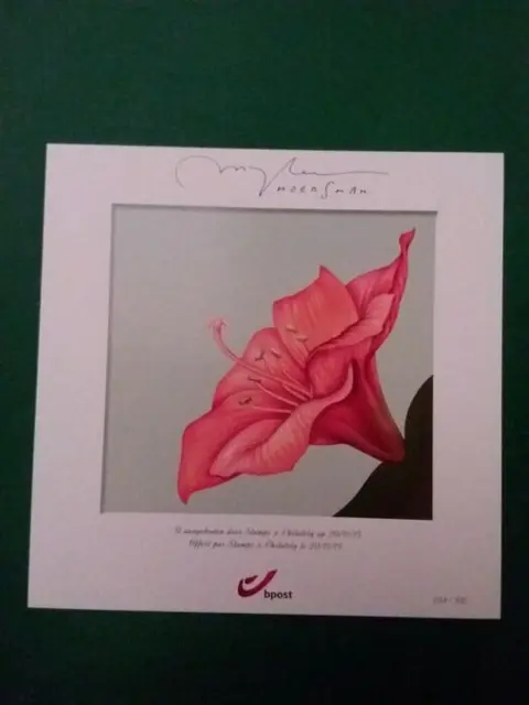 België 2015/2015 - Speciaal genummerd herinneringsblad - Amaryllis tekening Marijke Meersman - 4653