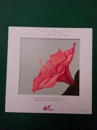 België 2015/2015 - Speciaal genummerd herinneringsblad - Amaryllis tekening Marijke Meersman - 4653