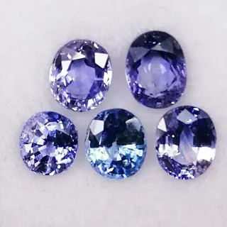 5 pcsblauwe saffier - 3.60 ct