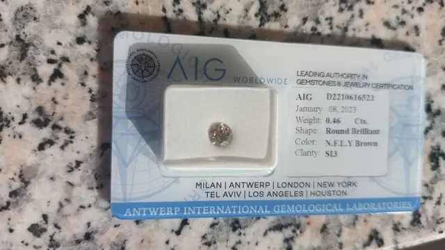 1 pcs Diamant - 0.46 ct - Rond - N (gekleurd) - fancy