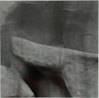 Jean-Philippe Reverdot (1952-2020) - Zoo